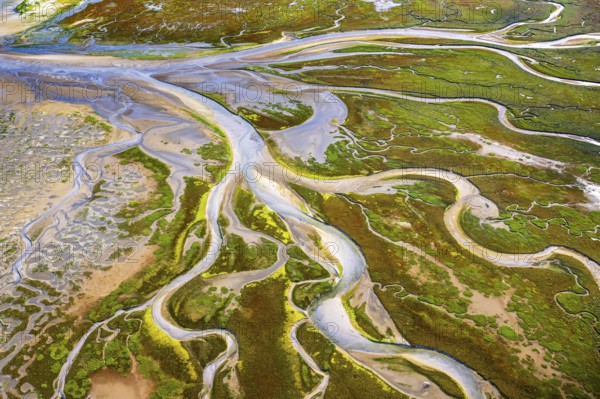 Aerial view of the Eastern Risian island of Memmert in the Lower Saxony Wadden Sea National Park, Lower Saxony, Germany