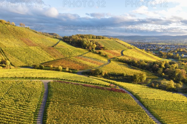 Hilly landscape with extensive vineyards and golden autumn tones, crossed by trails in setting sun and clouds, near Korb im Remstal, Rems-Murr-Kreis, Baden-Württemberg, Germany