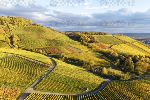 Landscape with golden vineyards and rolling hills under a changing sky, autumn, near Korb im Remstal, Rems-Murr-Kreis, Baden-Württemberg, Germany