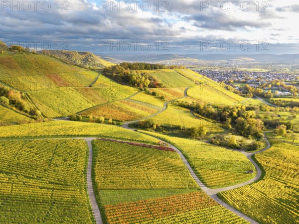 Green and yellow vineyards under a sky full of clouds and dramatic colors, autumn, near Korb im Remstal, Rems-Murr-Kreis, Baden-Württemberg, Germany