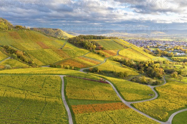 View of vineyards and a city on the horizon under a cloudy sky, autumn, near Korb im Remstal, Rems-Murr-Kreis, Baden-Württemberg, Germany