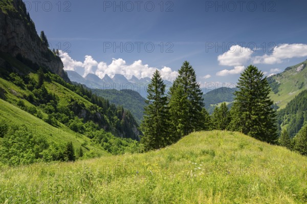 Alpine landscape in Alpstein with view of Churfirsten, Toggenburg, Canton of St. Gallen, Switzerland