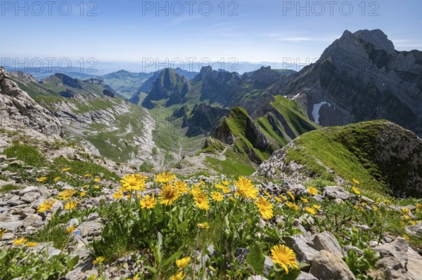 View over Alpstein Mountains into the Meglisalp Valley, Rotstein Pass, Säntis, Appenzell, Switzerland