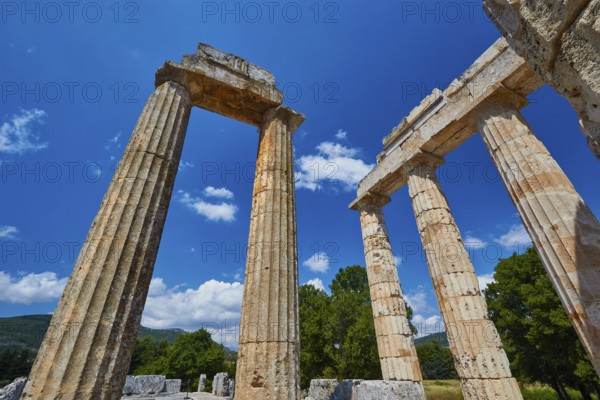 Well-preserved ancient columns in a landscape with trees, Nemea, Ancient Zeus Heightum, Archaeological Site, Peloponnese, Greece