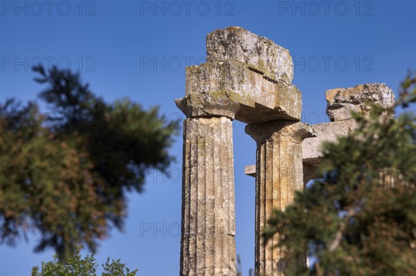 Ancient columns with trees in the foreground. Clear Sky, Nemea, Ancient Zeusheightum, Archaeological Site, Peloponnese, Greece