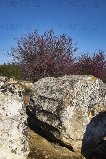Big rock in a natural setting. Shrubs and sky, Nemea, Ancient Zeus Heightum, Archeological Site, Peloponnese, Greece