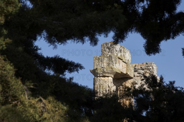 Fragment of ancient architecture surrounded by trees. Ruins Landscape, Nemea, Ancient Zeus Church, Archaeological Site, Peloponnese, Greece
