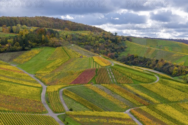 Vivid colors of the vineyards with red-yellow patterns on hilly terrain under a cloudy sky, autumn, near Strümpfelbach im Remstal, Rems-Murr-Kreis, Baden-Württemberg, Germany