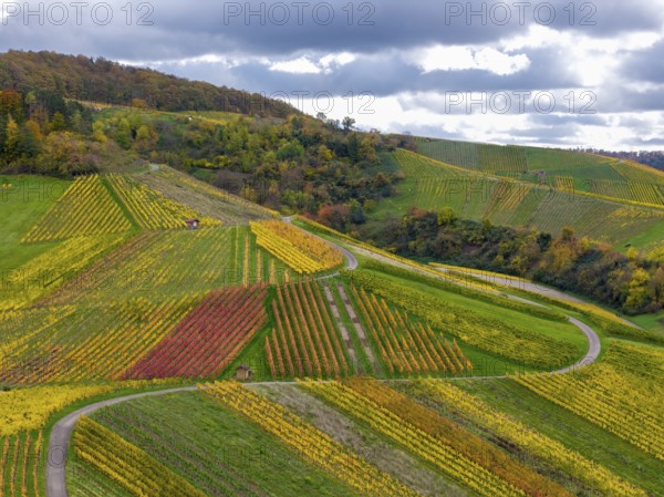Multicolored vineyards with winding paths on wooded hills under a dramatically cloudy sky, autumn, near Strümpfelbach im Remstal, Rems-Murr-Kreis, Baden-Württemberg, Germany