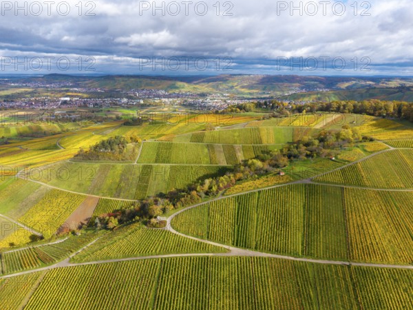 Colourfully striped vineyards in autumn stretch across from the city, near Strümpfelbach im Remstal, Rems-Murr-Kreis, Baden-Württemberg, Germany