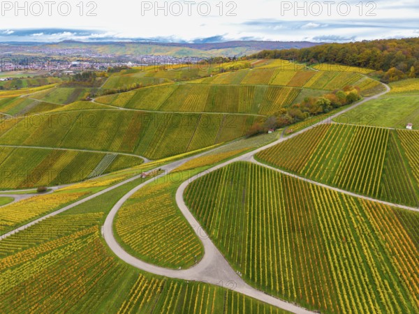 Chessboard-like, autumnal vineyards with winding paths under a cloudy sky, near Strümpfelbach im Remstal, Rems-Murr-Kreis, Baden-Württemberg, Germany