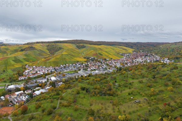 Colourful vineyards and a village in a vast, green autumn landscape, Strümpfelbach im Remstal, Rems-Murr-Kreis, Baden-Württemberg, Germany