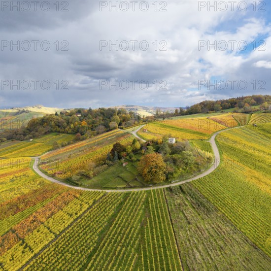 Landscape in autumn with vineyards and a winding road surrounded by colorful fields, Schützenhüttle-Donkey, near Strümpfelbach im Remstal, Rems-Murr-Kreis, Baden-Württemberg, Germany