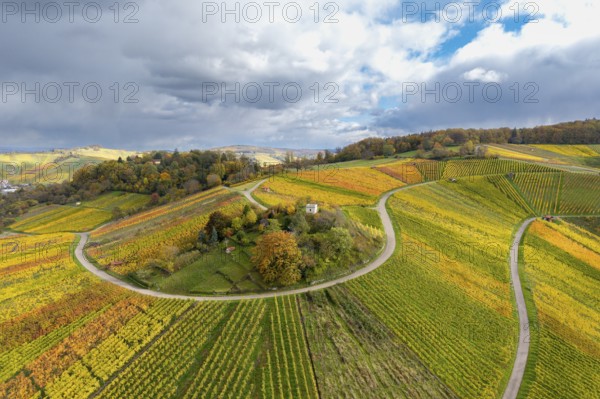 Vineyard landscape in autumn with colorful fields and winding roads under cloudy sky, Schützenhüttle-Donkey, near Strümpfelbach im Remstal, Rems-Murr-Kreis, Baden-Württemberg, Germany