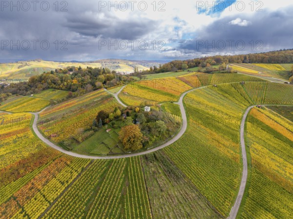 Colourful, curvy vineyards stretch across a range of hills under dramatic clouds, autumn, Schützenhüttle-Donkey, near Strümpfelbach im Remstal, Rems-Murr-Kreis, Baden-Württemberg, Germany
