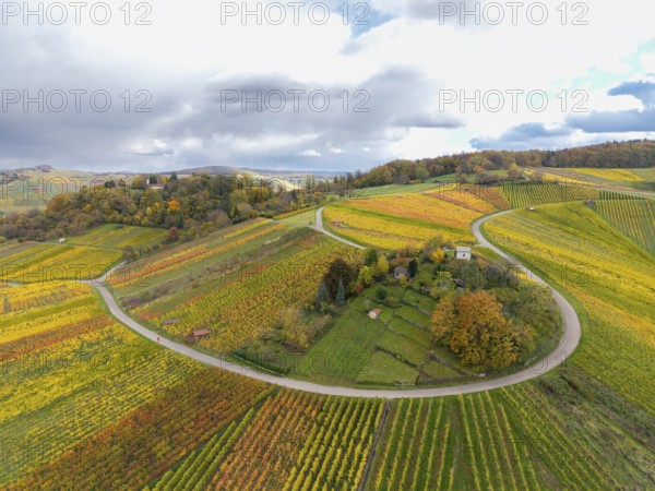Colourful vineyards stretch over hills under dramatic cloudy skies, autumn, Schützenhüttle-Donkey, near Strümpfelbach im Remstal, Rems-Murr-Kreis, Baden-Württemberg, Germany