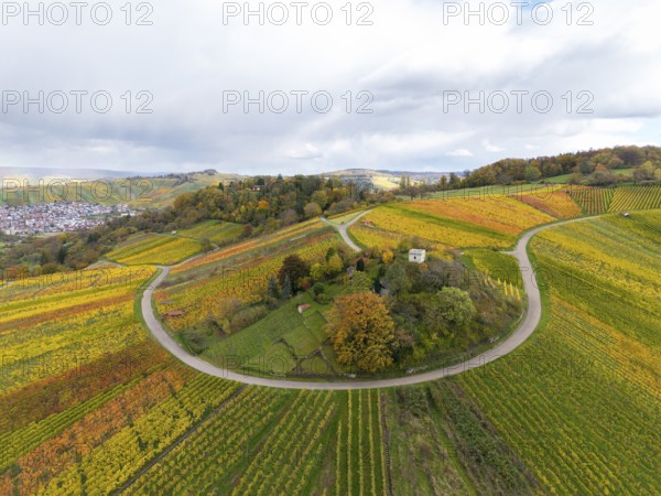 Autumn vineyards with colorful leaves and winding paths under cloudy sky, autumn, Schützenhüttle-Donkey, near Strümpfelbach im Remstal, Rems-Murr-Kreis, Baden-Württemberg, Germany