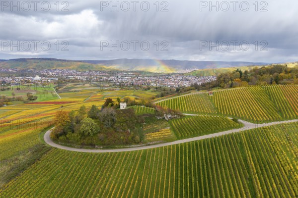 Autumn vineyards with a rainbow over the hills and trails in between, autumn, Schützenhüttle-Donkey, near Strümpfelbach im Remstal, Rems-Murr-Kreis, Baden-Württemberg, Germany