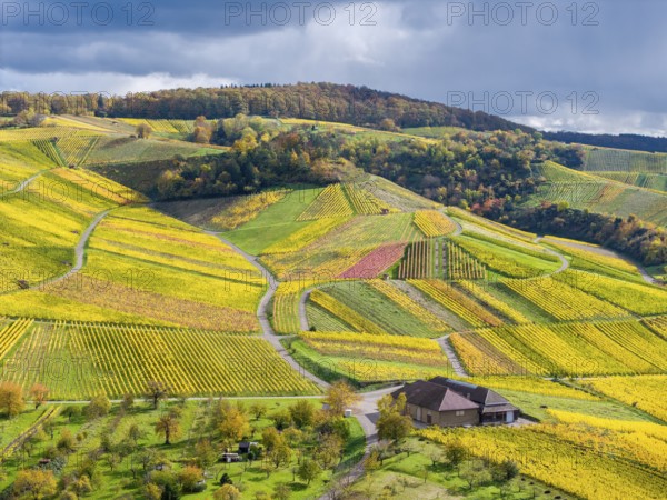 Hilly vineyards with a winepress, autumn colors contrasting with a cloudy sky, near Strümpfelbach im Remstal, Rems-Murr-Kreis, Baden-Württemberg, Germany