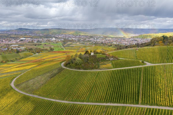 View of green and yellow vineyards under a dramatic sky with rainbow in the distance, autumn, Schützenhüttle-Donkey, near Strümpfelbach im Remstal, Rems-Murr-Kreis, Baden-Württemberg, Germany