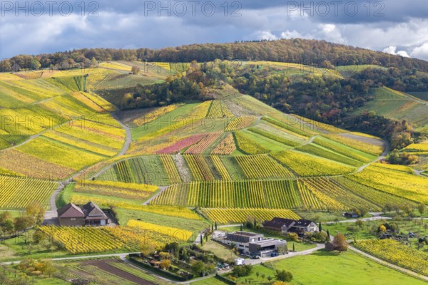 Hilly landscape with colorful vineyards and houses under a cloudy sky, autumn, wineries, wine presses, near Strümpfelbach im Remstal, Rems-Murr-Kreis, Baden-Württemberg, Germany