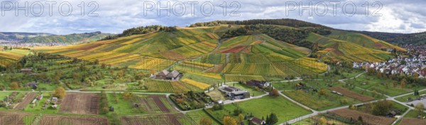 Landscape panorama of hilly vineyards with a village and cloudy sky, autumn, Strümpfelbach im Remstal, Rems-Murr-Kreis, Baden-Württemberg, Germany