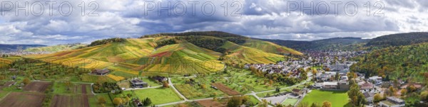 Extensive landscape of vineyards and village against a cloudy sky, autumn, Strümpfelbach im Remstal, Rems-Murr-Kreis, Baden-Württemberg, Germany