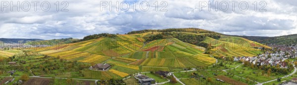 Extensive panoramic landscape of vineyards next to a small village under clouds, autumn, Strümpfelbach im Remstal, Rems-Murr-Kreis, Baden-Württemberg, Germany