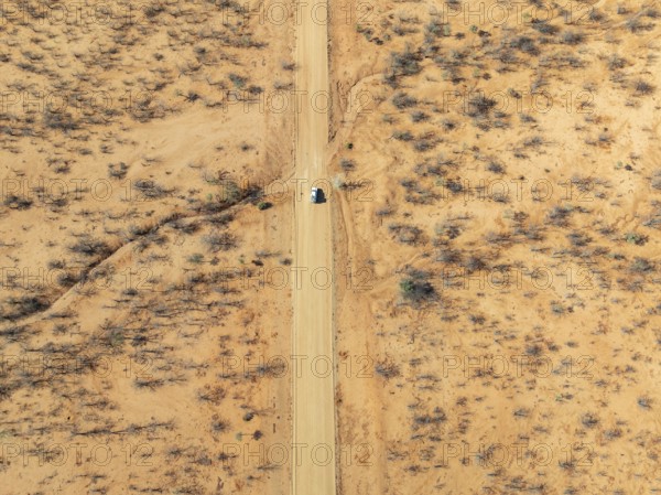Travel, aerial view, car driving on road through arid landscape, Kunene region, Namibia