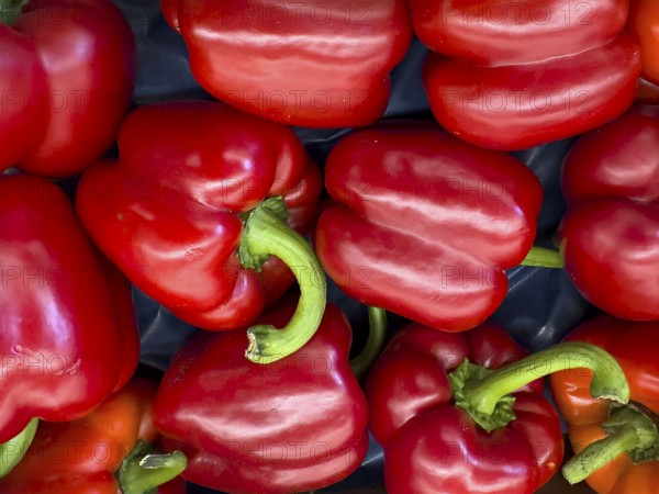 Whole red pepper Italian pepperoni displayed by greengrocers, international