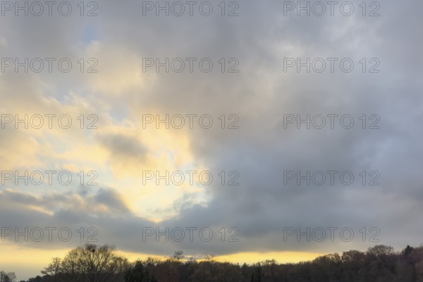Sky over forest edge at dusk with left clouds Cumulus fractus right gray Stratocumulus, international