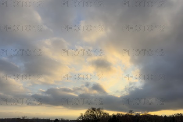 Sky over forest edge at dusk in the middle of clouds Cumulus fractus right and below gray Stratocumulus, international