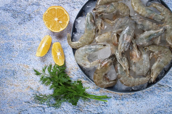 Fresh raw shrimp, spread on ice with lemon and cilantro slices on a marble surface, ready to cook, no people