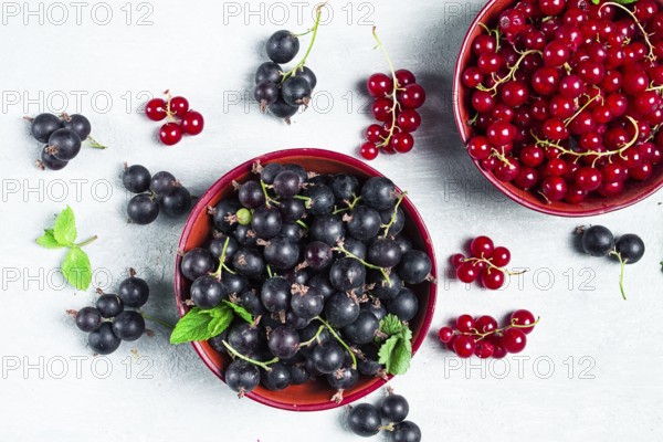 Bowls with berries, black and red currants, top view, food concept, no people