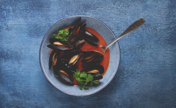 Fra Diavolo mussels, mussels in tomato sauce, Italian dish, on a blue background, homemade, no people