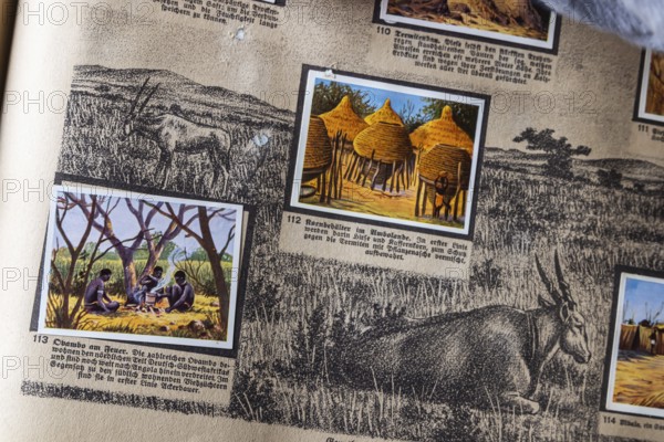 German colonies. German Southwest Africa. Obambo An anthology published by Cigaretten-Bilderdienst Dresden from 1936. Germany