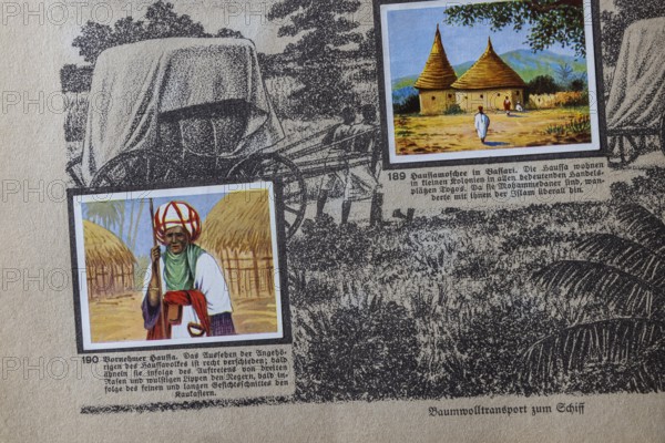 German colonies. Togo. Noble Hausa. The image text says that the appearance is quite different. Sometimes they resemble Negroes. An anthology published by Cigaretten-Bilderdienst Dresden from 1936. Germany
