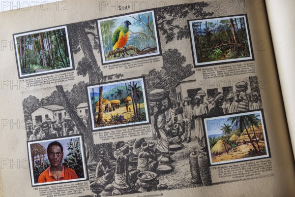 German colonies. Togo. Caption: Eweneger. These Negroes form an important ethnic group in the south of the protected area. An anthology published by Cigaretten-Bilderdienst Dresden from 1936. Germany