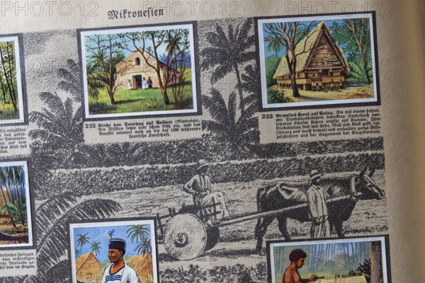 German colonies. Micronesia. An anthology published by Cigaretten-Bilderdienst Dresden from 1936. Germany