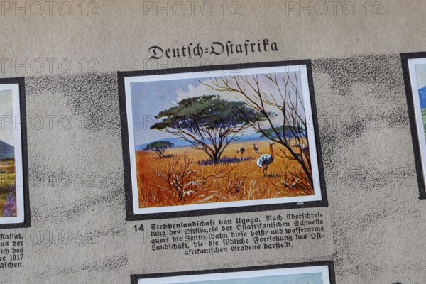German colonies. German East Africa. Ugogo steppe landscape. An anthology published by Cigaretten-Bilderdienst Dresden from 1936. Germany