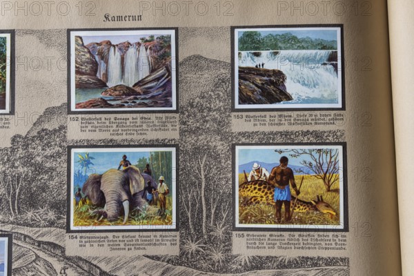 German colonies. Cameroon German Southwest Africa. An anthology published by Cigaretten-Bilderdienst Dresden from 1936. Germany