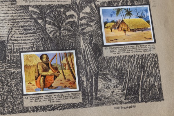 German colonies. German East Africa. Ngogo man. Wagogo ethnic group, racially referred to as Negro in the image text. An anthology published by Cigaretten-Bilderdienst Dresden from 1936. Germany