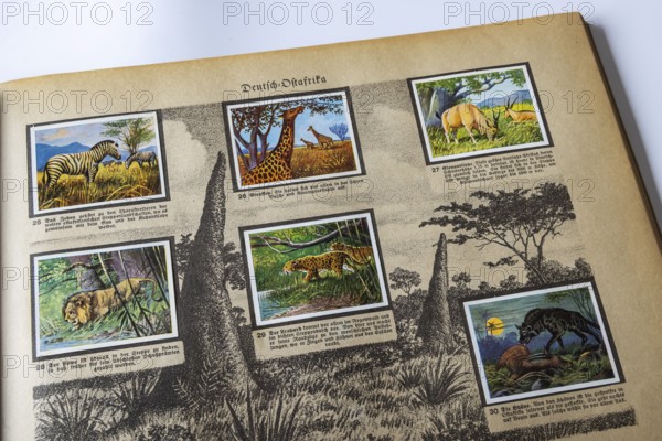 German colonies. German East Africa. An anthology published by Cigaretten-Bilderdienst Dresden from 1936. Germany