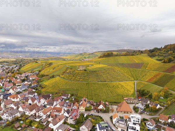 Vivid autumn vineyards with yellow fields, lined with houses, under a cloudy sky on rolling hills, Y-Burg, Stetten im Remstal, Baden-Württemberg, Germany