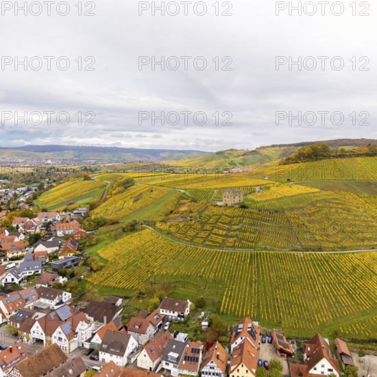 Panoramic view of autumnal vineyards with bright yellow fields, houses and hills under cloudy sky, Y-Burg, Stetten im Remstal, Baden-Württemberg, Germany