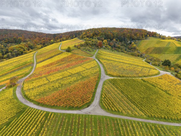 Colourful autumn vineyards with winding paved roads on rolling hills under cloudy skies, near Stetten im Remstal, Baden-Württemberg, Germany