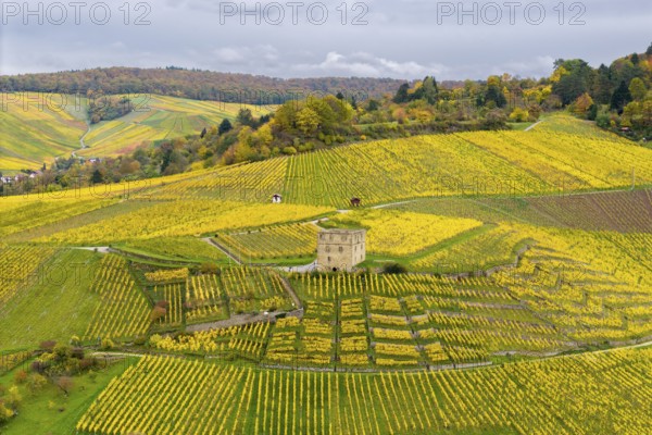 Vineyards in autumn, bright yellow fields with a historic building in the middle and cloudy sky, Y-Burg, Stetten im Remstal, Baden-Württemberg, Germany