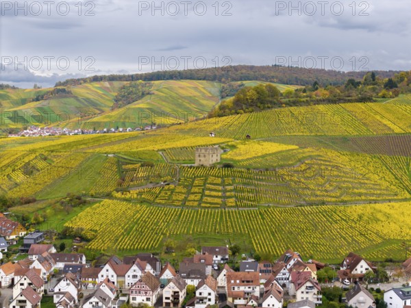 Colourful steep vineyards in autumn with yellow fields and residential buildings in a hilly landscape under cloudy sky, Y-Burg, Stetten im Remstal, Baden-Württemberg, Germany
