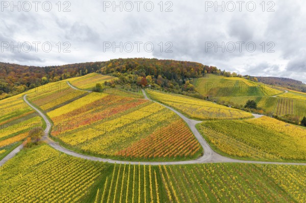 Autumn hilly landscape with colorful vineyards and winding paths, near Stetten im Remstal, Baden-Württemberg, Germany