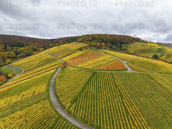 Autumn vineyards with colorful fields and curved paths in cloudy skies, near Stetten im Remstal, Baden-Württemberg, Germany